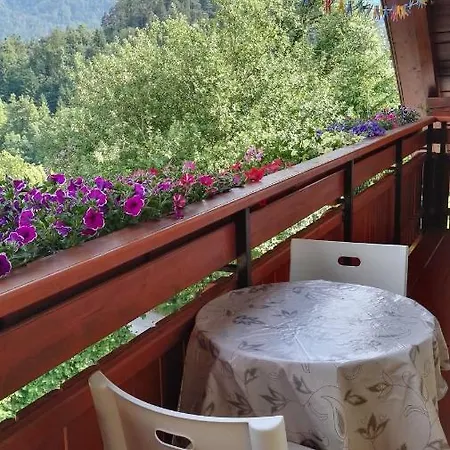 Bernarda Apartament *